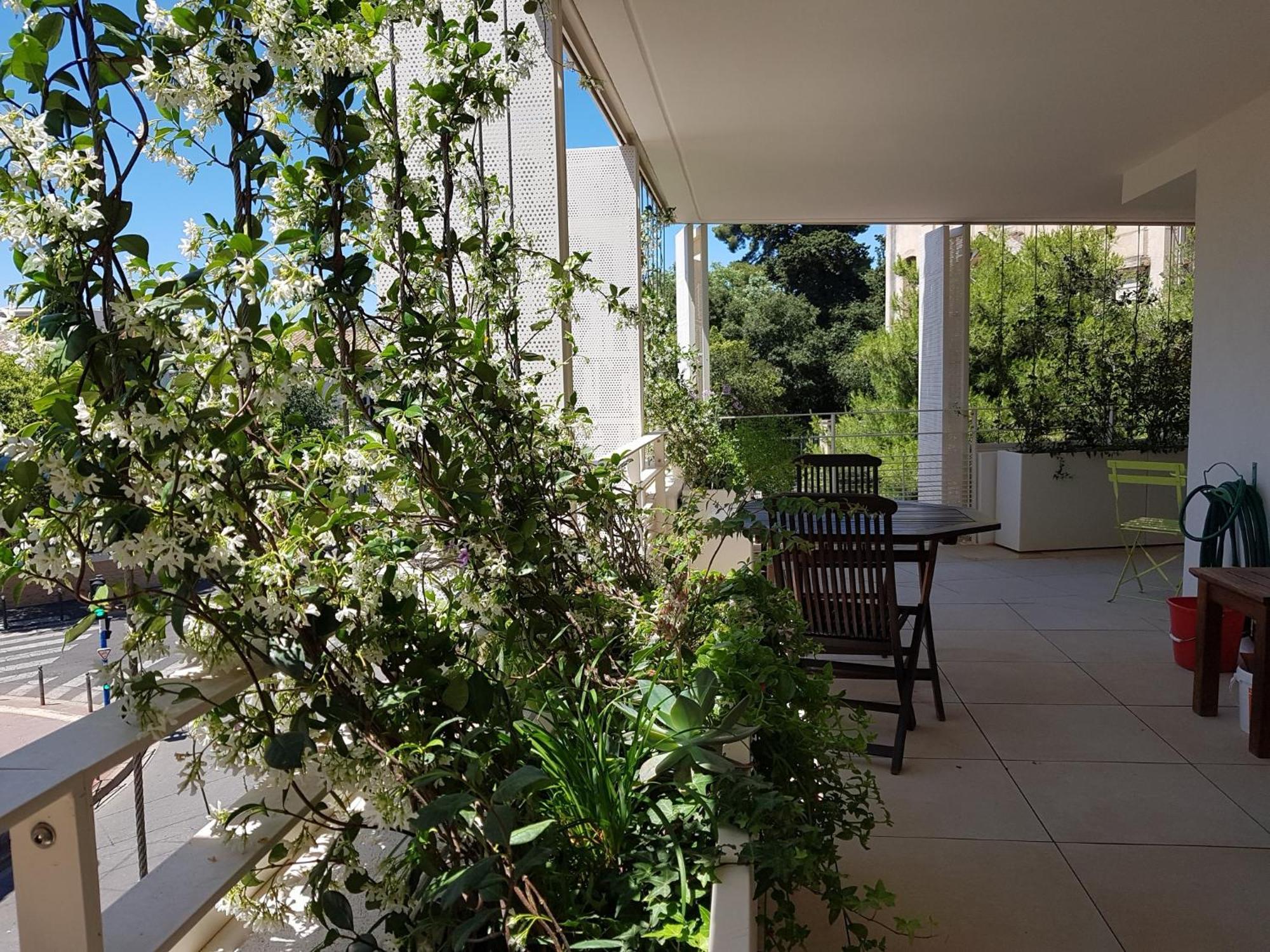 מונפלייה Appartement Centre Ville Beaux Arts 2 Personnes Calme Et Confort מראה חיצוני תמונה